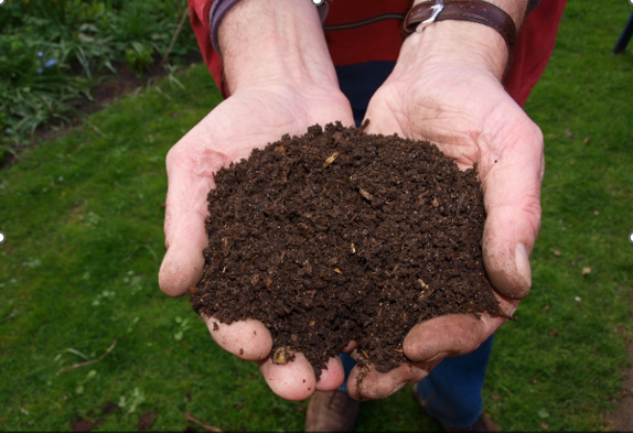 Compost pile screenshot