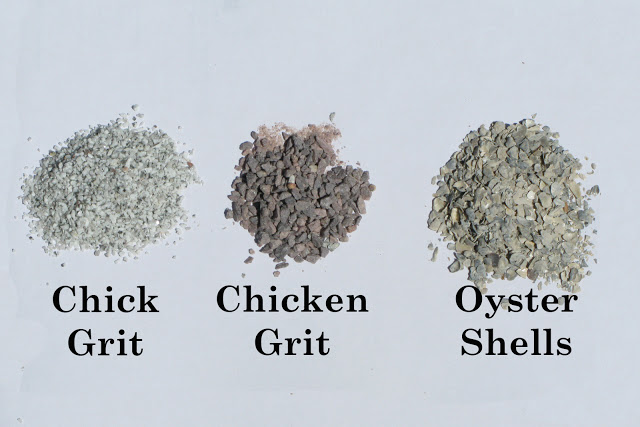 Grit Comparison.jpg