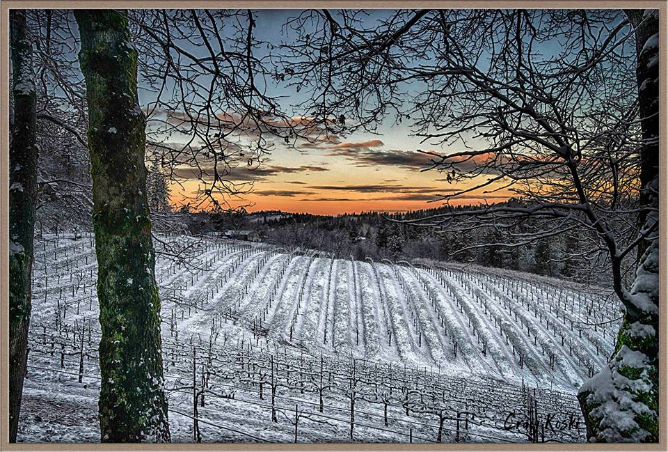 Winery.jpg